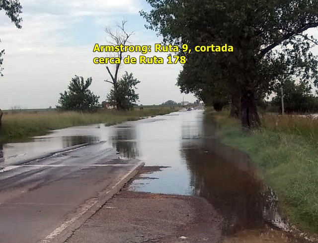 ruta cortada arms