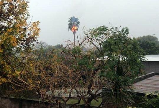 palmera fuego rayo 270420