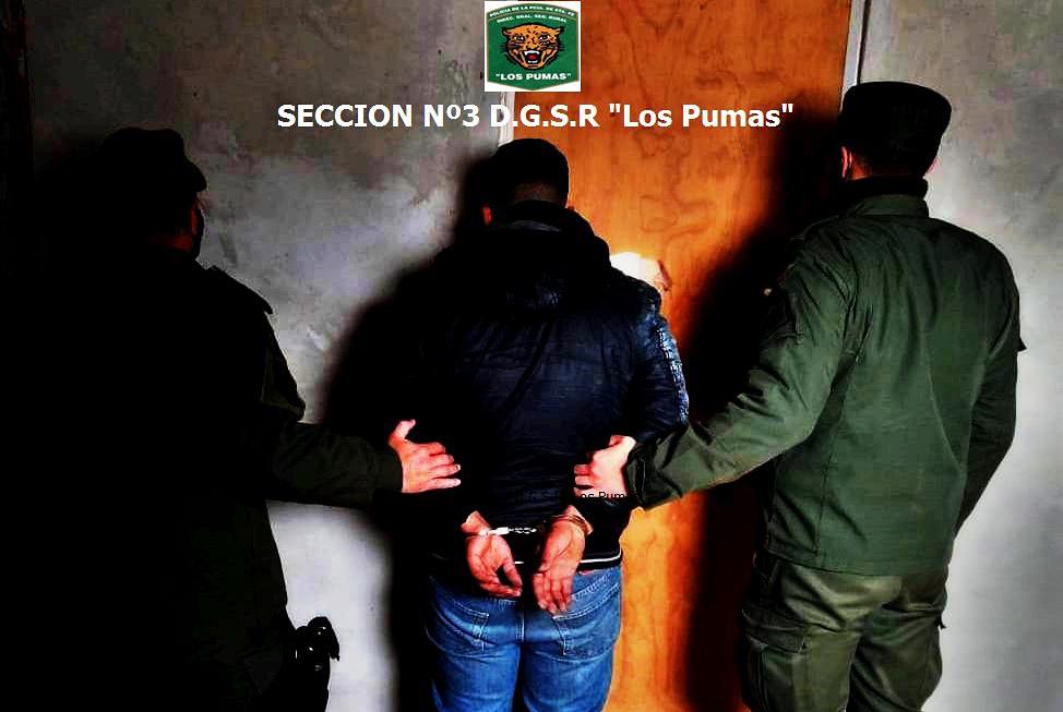 los pumas_allanamientos 300820