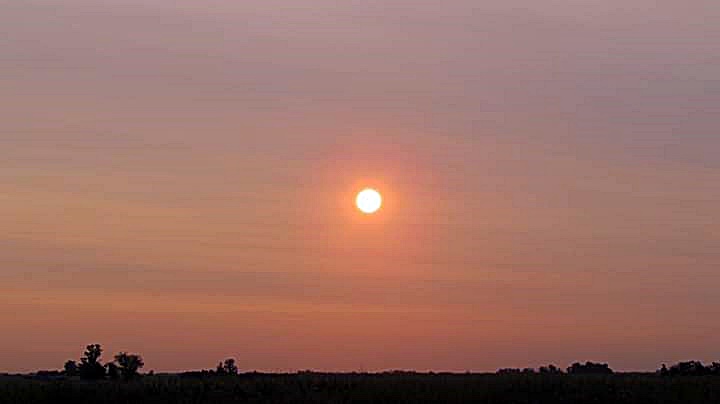 australia humo casilda