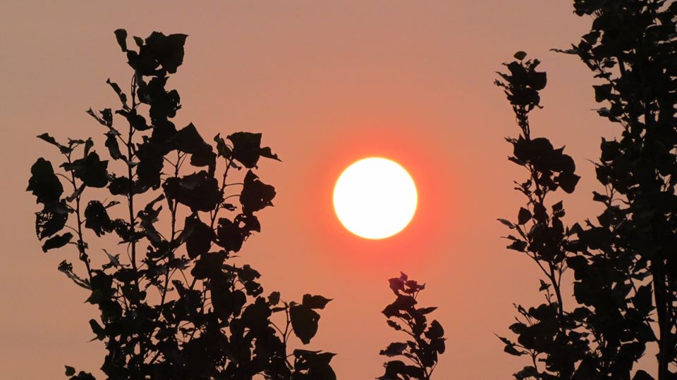 australia humo casilda 2