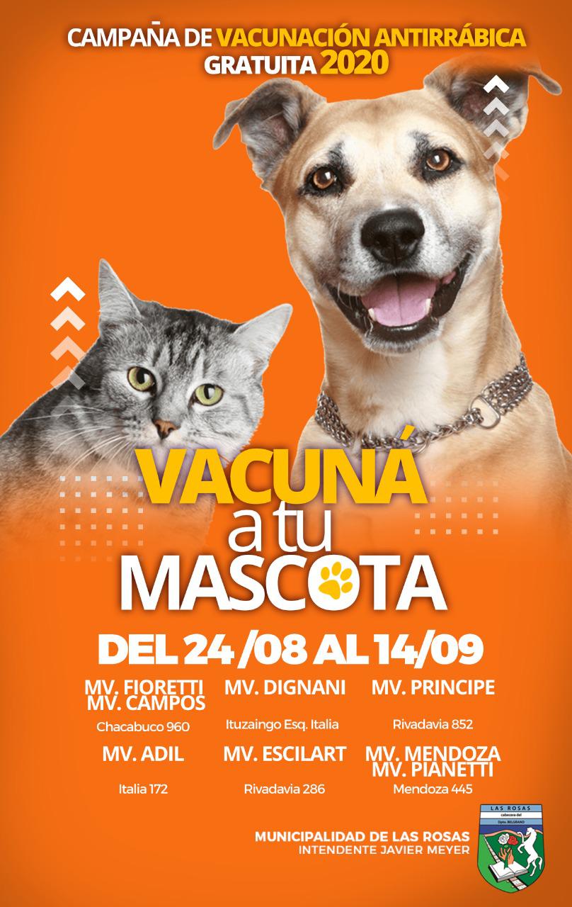 vacunacion antirrábica