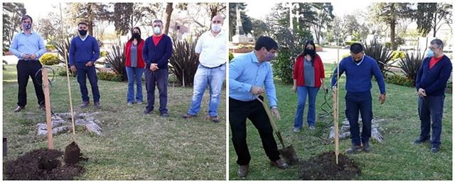 aaa aguaribay mosaico