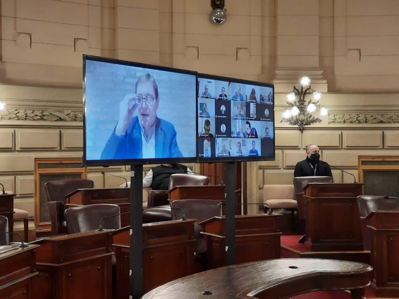 cornaglia senado zoom b 300720