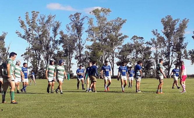 los teros los zorros 110421