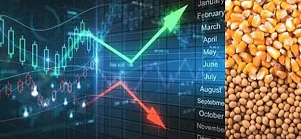 001_Imagen_de_referencia (1)