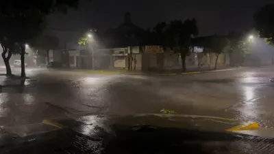 WhatsApp Video 2024-11-25 at 08.51.42