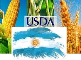 Imagen de referencia