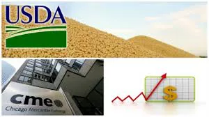 USDA y Precios