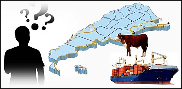 0001_Imagen_de_referencia-4-9-2024