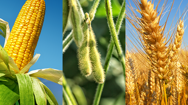 inta-usda-diciembre-2015