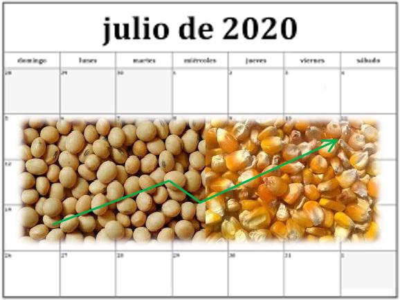 Imagen de referencia