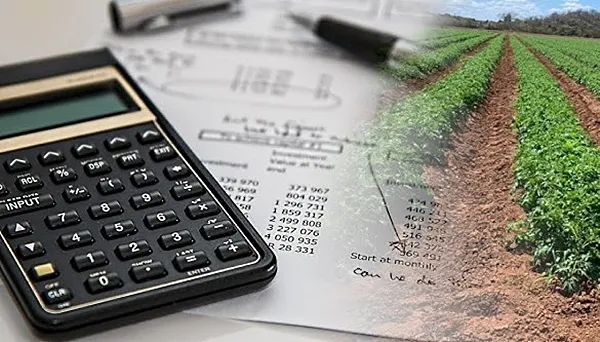 0001_Imagen_de_referencia-21-08-2024