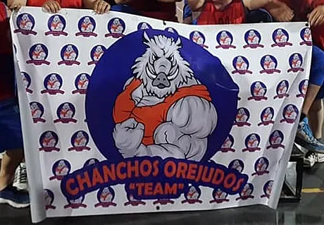 chanchos orejudos