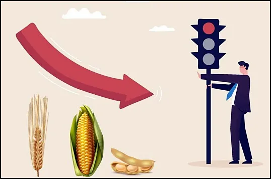 0001_Imagen_de_referencia-07-08-2024