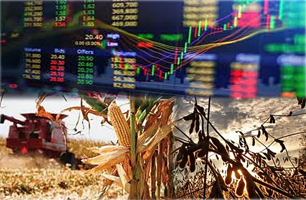 0001_3-4-2024-Imagen_de_referencia