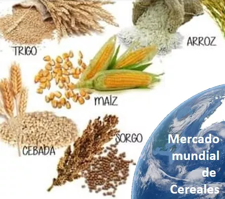 Imagen de referencia 11-04-2022
