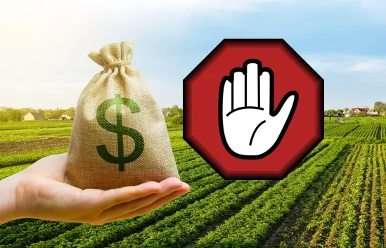 0001_Imagen_de_referencia-18-12-24