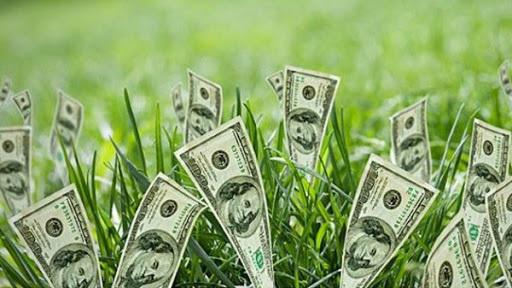 Inversio imagen de referencia-