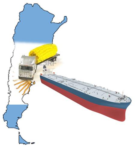 Maíz de exportación