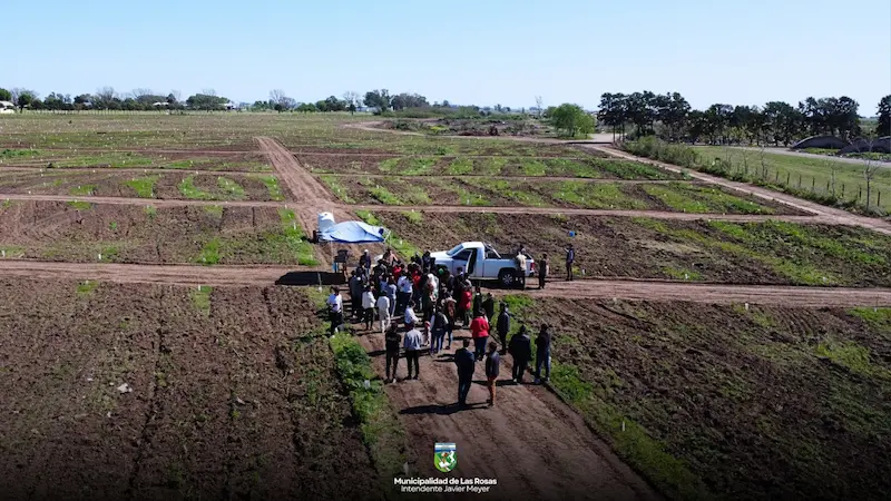 arboles complejo ambiental (1)