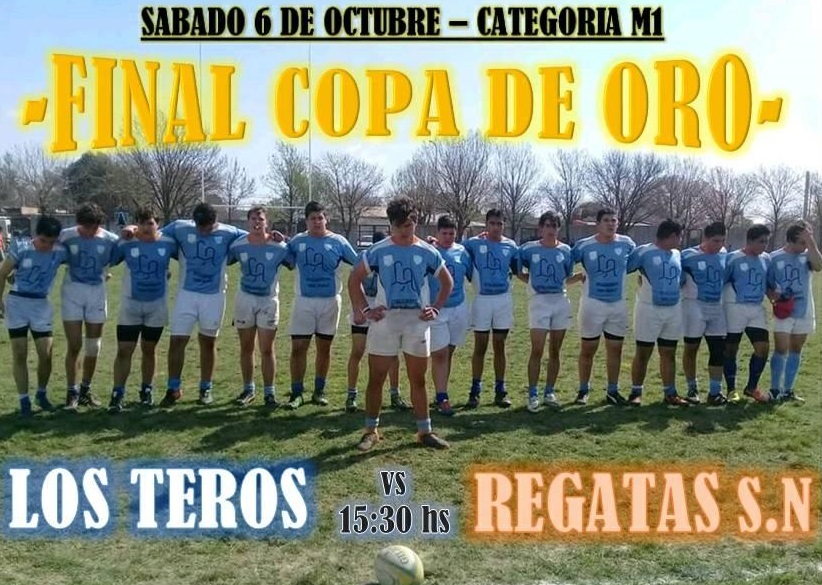 los teros m1 copa de oro 2