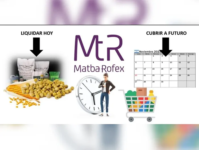 imagen 08-05