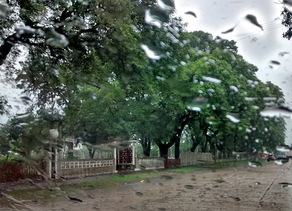 lluvia-8ene2015II.jpg