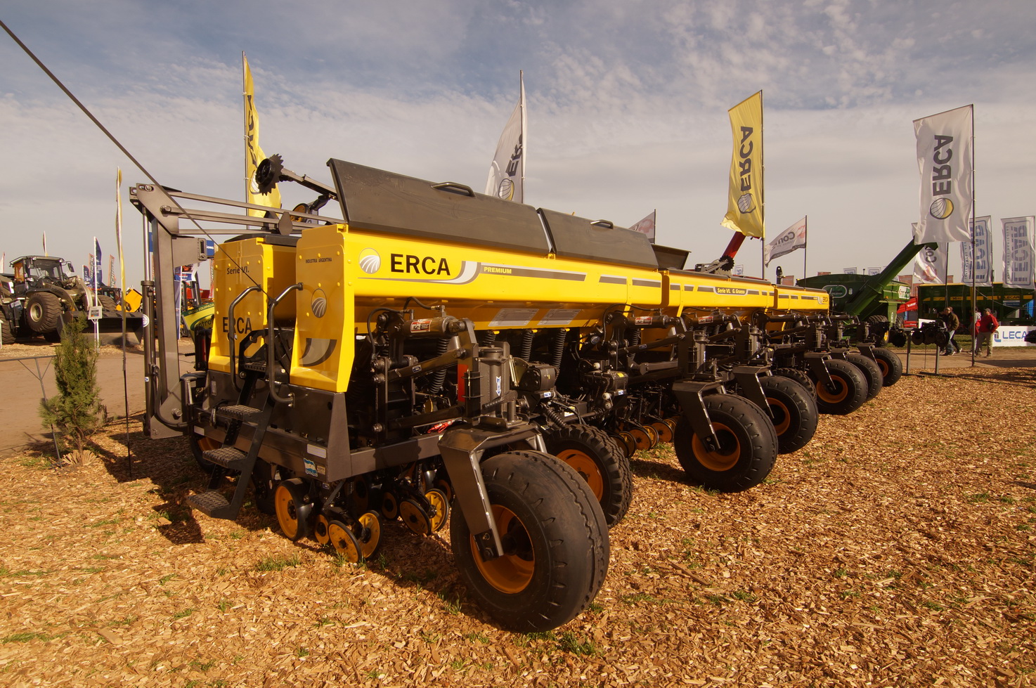 DSC01295_redimensionar