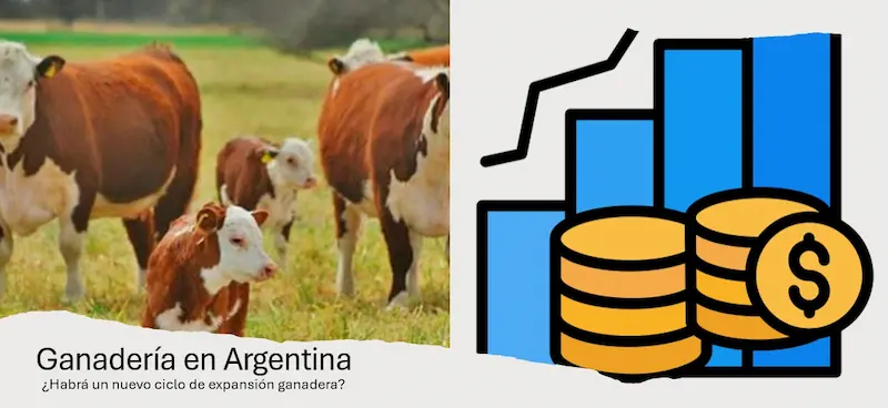 Ganaderia en Argentina