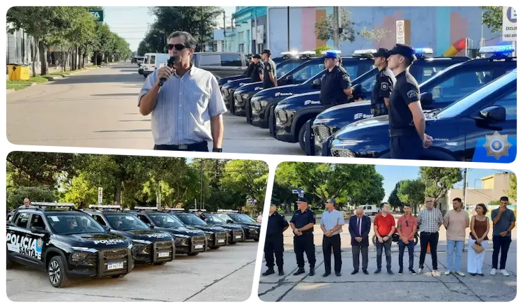 verdecchia collage patru (1)