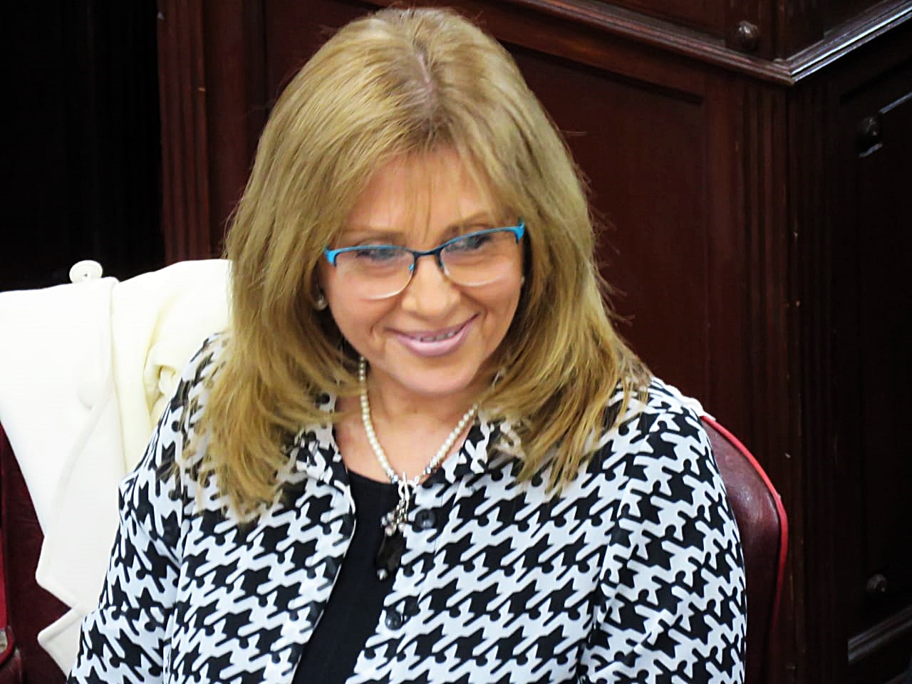 cg en diputados