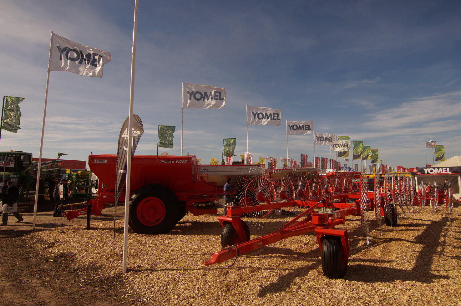 DSC01279_redimensionar