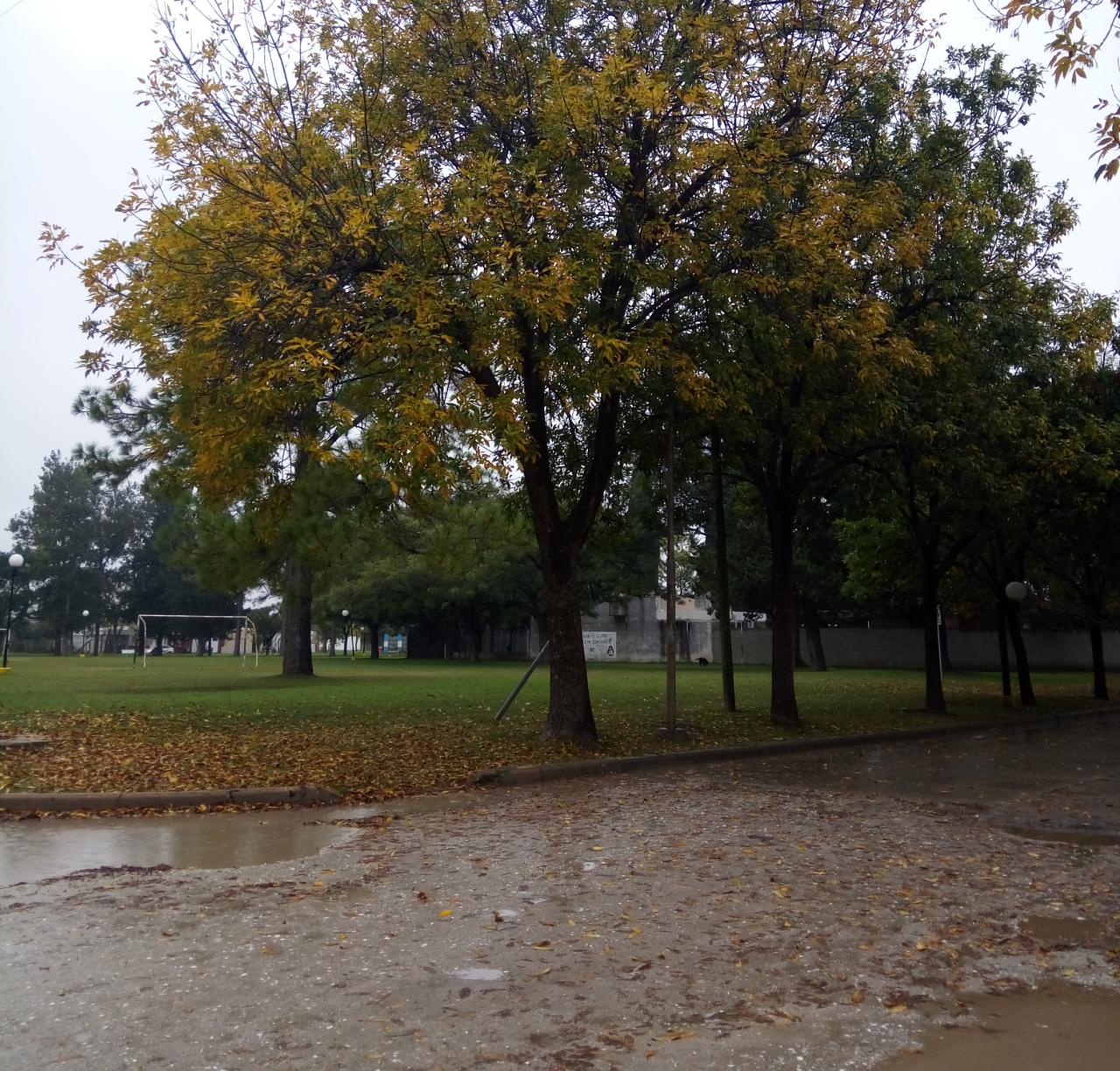lluvia parque malvina 240419