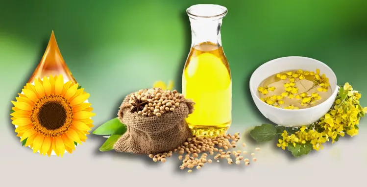 0001_Imagen_de_referencia-27-08-2025