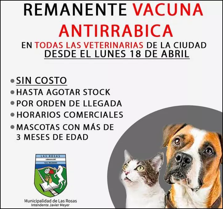 antirrabica
