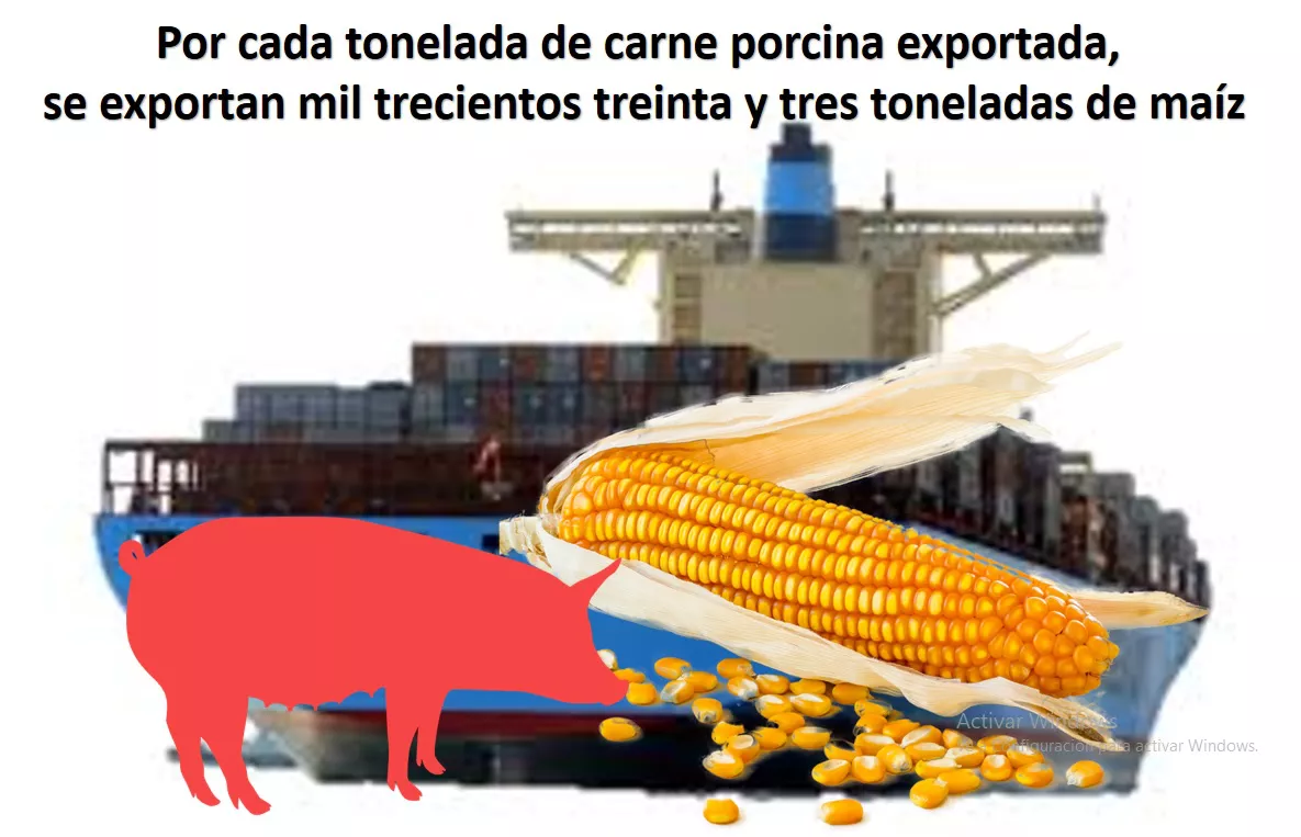 Imagen de referencia 25-07-2022