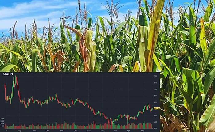 0001_Imagen_de_referencia