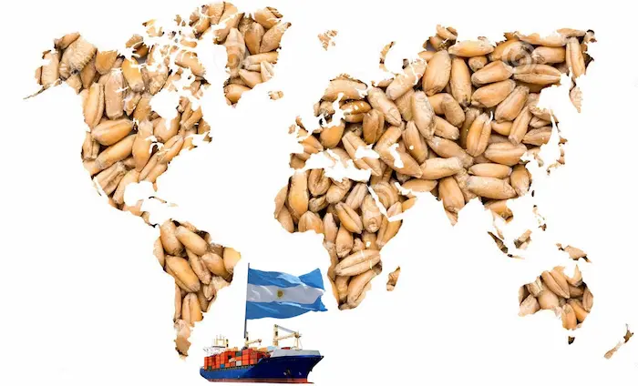 0001_Imagen_de_referencia-15-10-2025