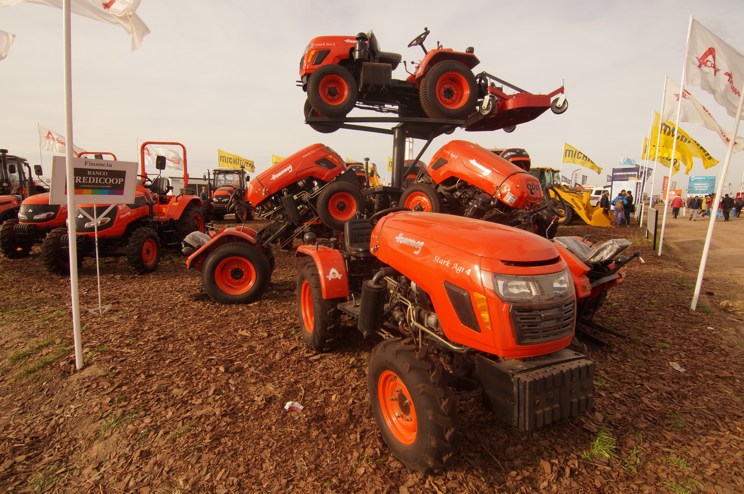 DSC01368_redimensionar