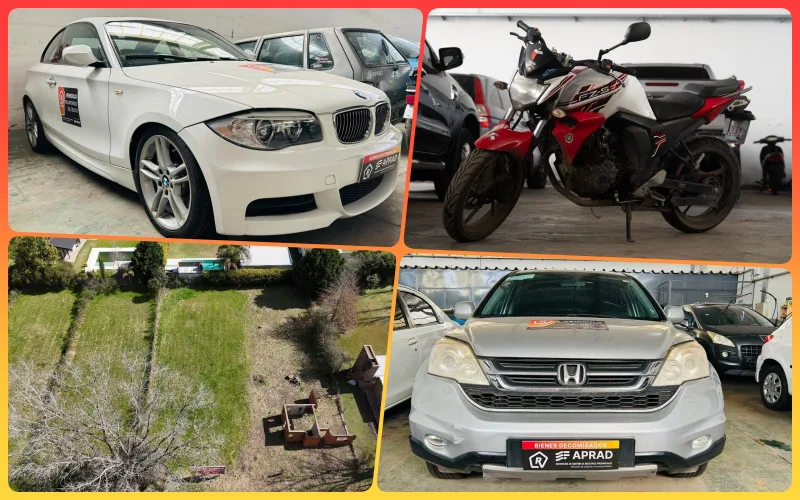 aprad collage