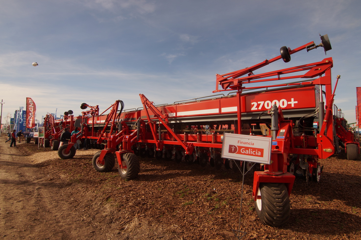 DSC01304_redimensionar