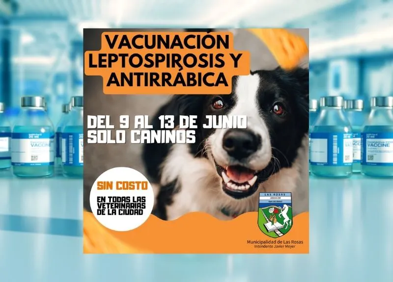 vacunas 2