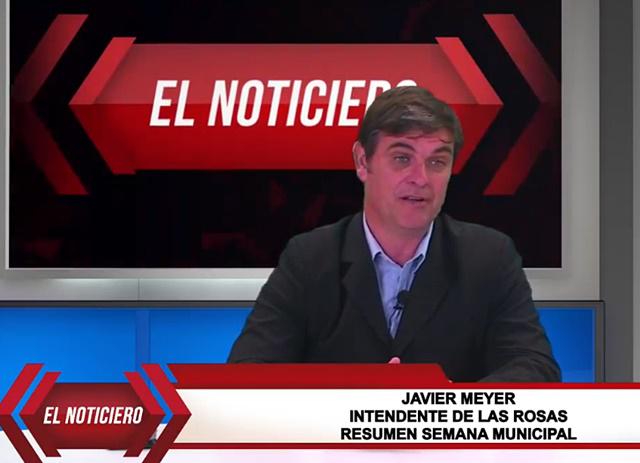 meyer primera edicion 2