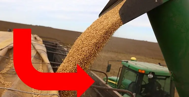 0001_Imagen_de_referencia_27-11-2024