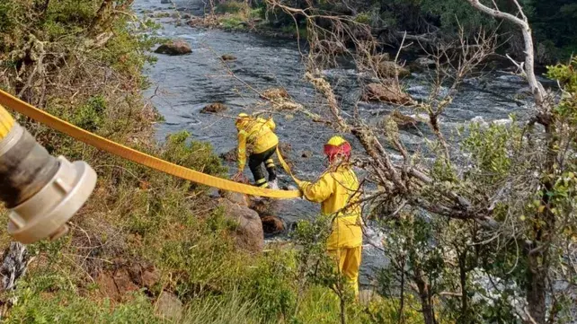 rescastistas-surjpg (1)