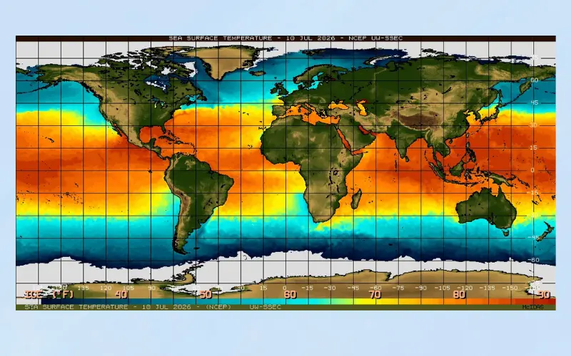 el niño