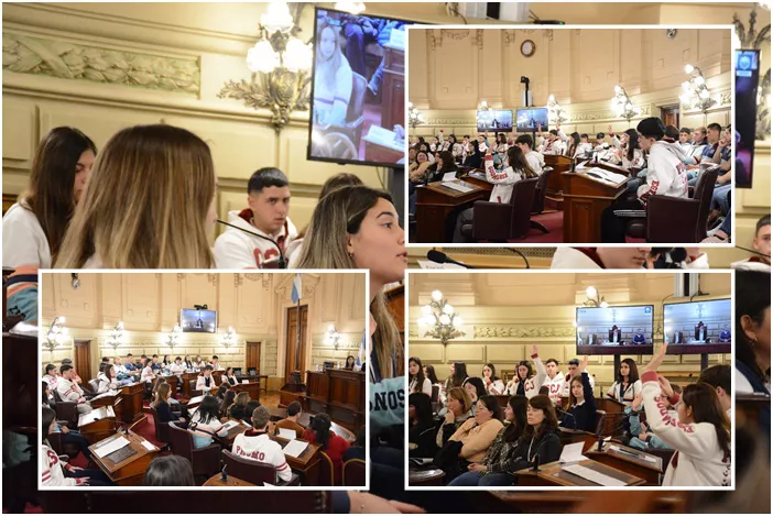 ciudadanos mosaico