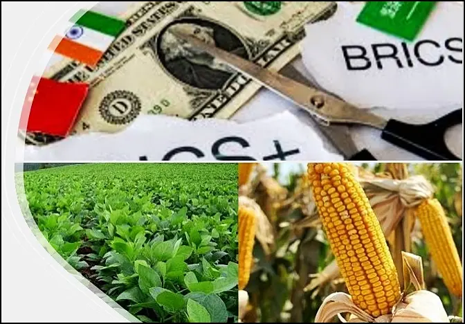 0001_Imagen_de_referencia-4-12-204