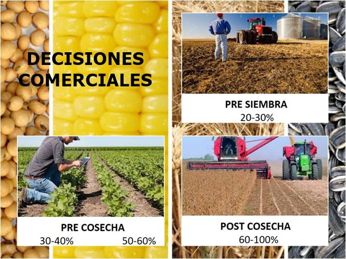 IMAGEN REFERECIA DECISIONES MOSAICO